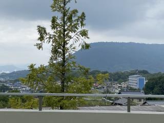 W320Q75_IMG_3114