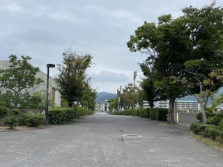 W320Q75_IMG_3119