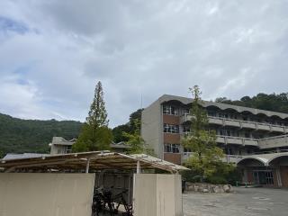W320Q75_IMG_3120