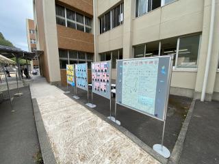 W320Q75_IMG_3140