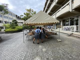 W320Q75_IMG_3153