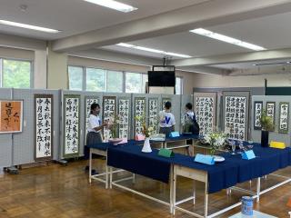 W320Q75_IMG_3174