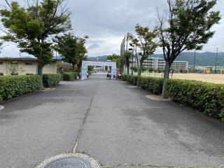 W320Q75_IMG_3222