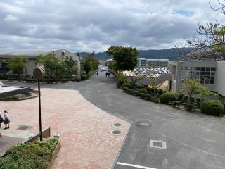 W320Q75_IMG_3227