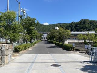 W320Q75_IMG_6129