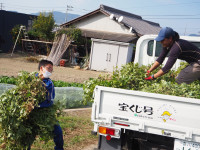 よう