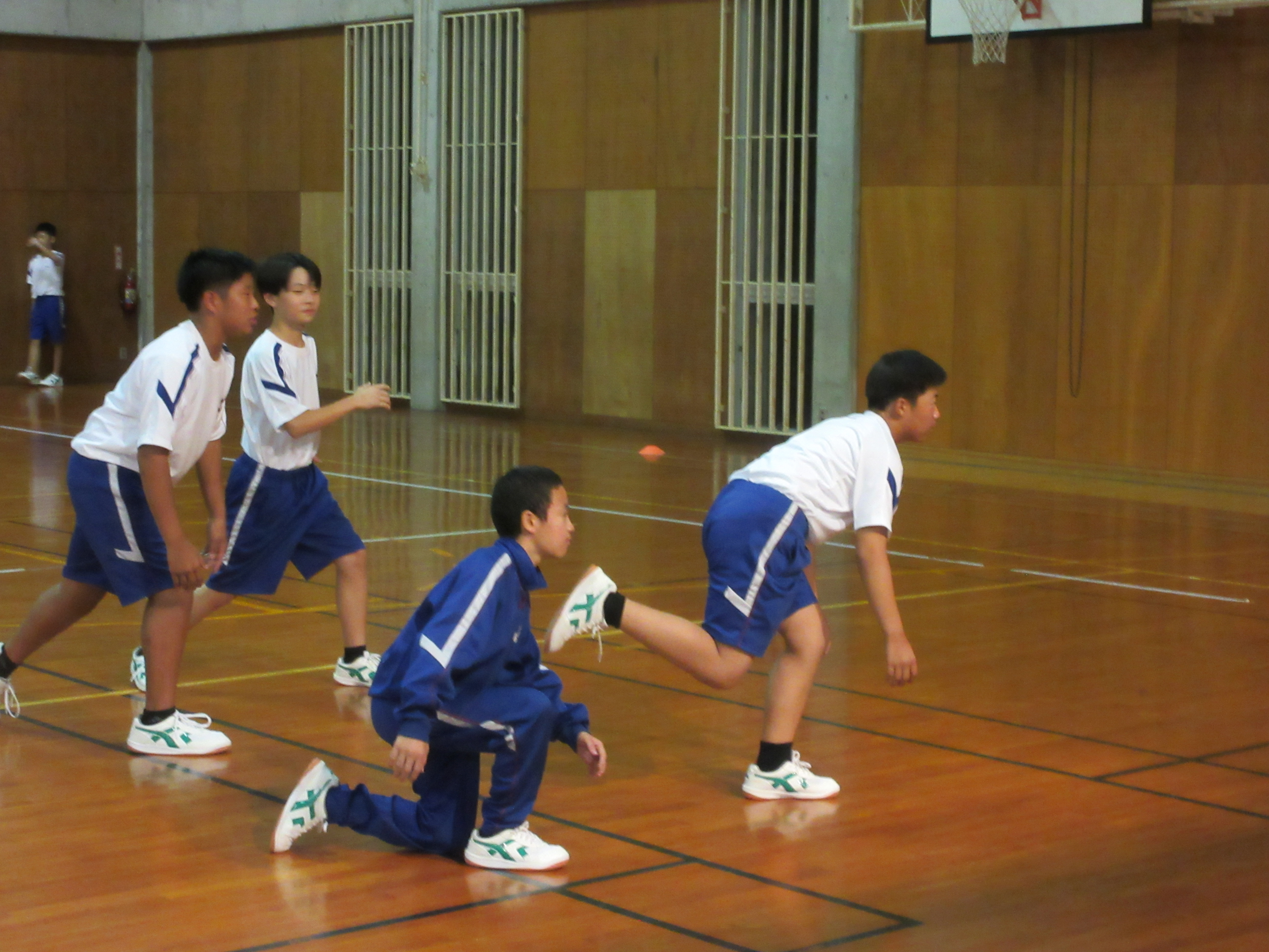 daruma7
