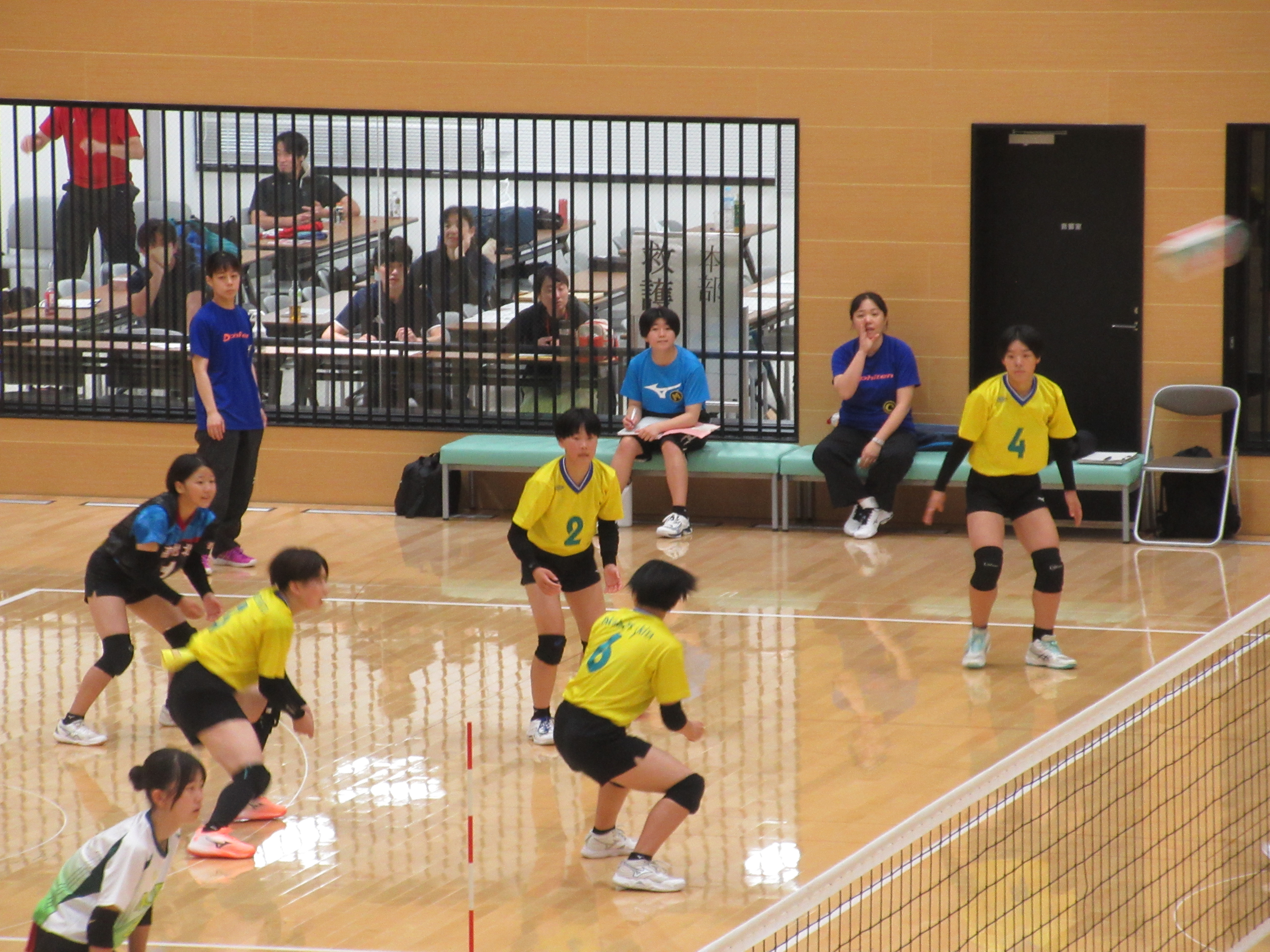 volley