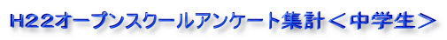 HQQI[vXN[AP[gWvw
