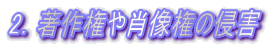 2D쌠ё̐NQ