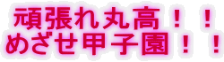 撣ۍII
߂bqII