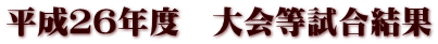 平成26年度 大会等試合結果