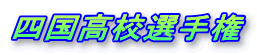 lZI茠