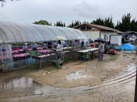 IMG_0175