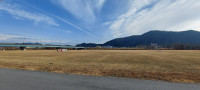 20231227_090710-cleaned