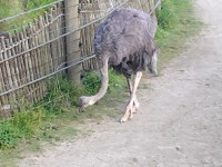 IMG_20240725_124350