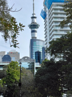 IMG_20240802_110455 (1)