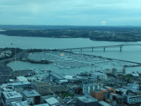 IMG_20240802_101142
