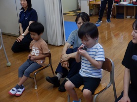 まつぼっくり３