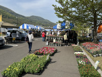 IMG_0592