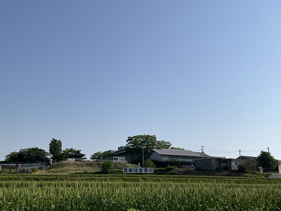 IMG_1420