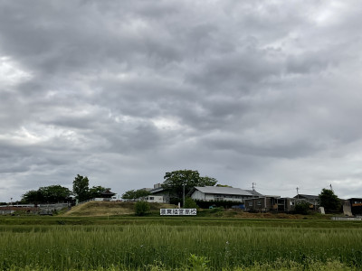 IMG_3498