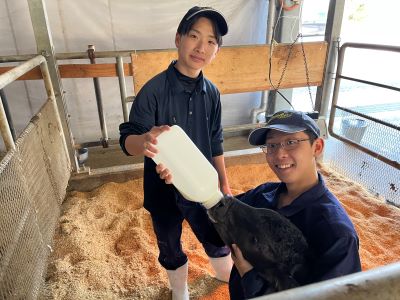 哺乳中