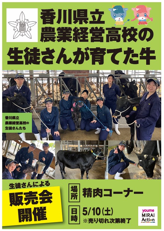 JPEGチラシ