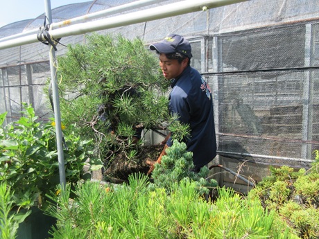 ２松持ち上げ移動