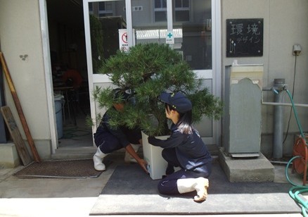 松担ぐ