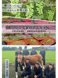 HP画像.png