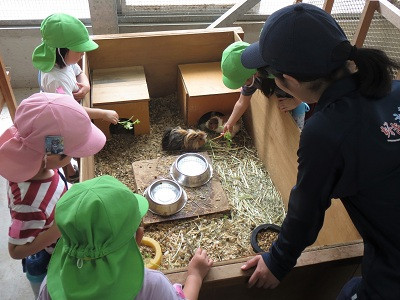 ふれあい⑤