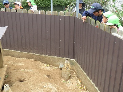 ふれあい④