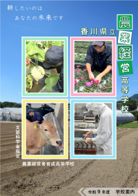 HP画像