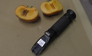 photo8.jpg