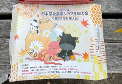 bento02.png