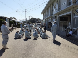 養豚蜘蛛の巣①.png
