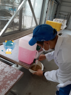 デビーク⑮mi.png