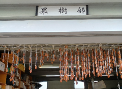 画像1.png
