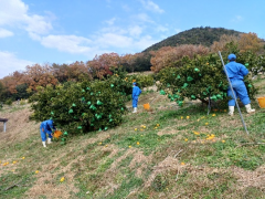 画像15.png