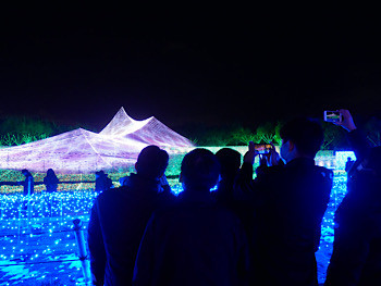 D270539C-6D47-4AB7-847F-97076C767ECC.jpeg