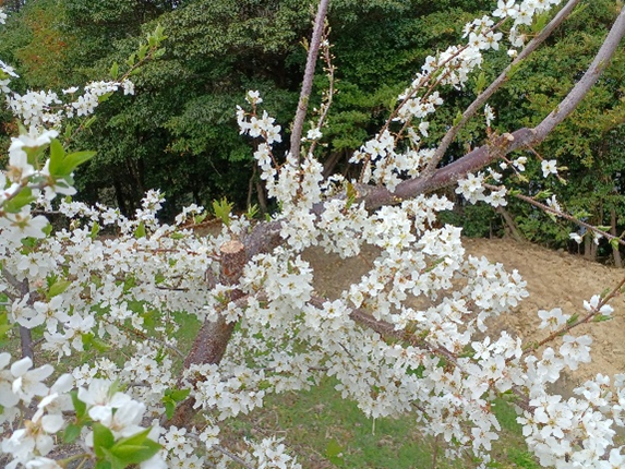 画像2