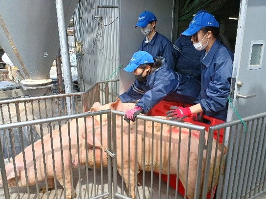 画像20