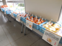 DSCN0863