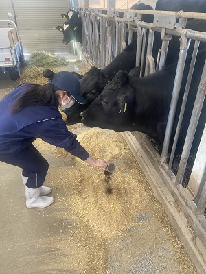 レポート①飼料給餌