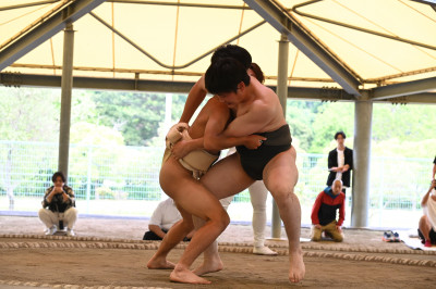 DSC_9952