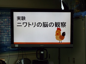 h1