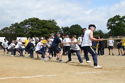 t3