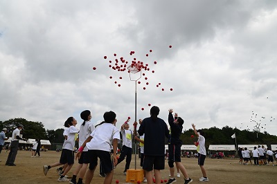 t4