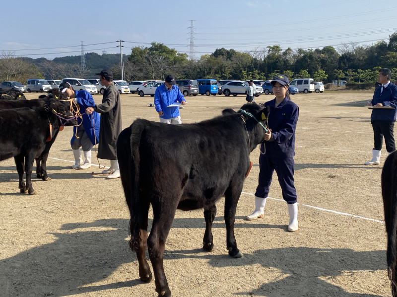 レポート⑦共進会の様子